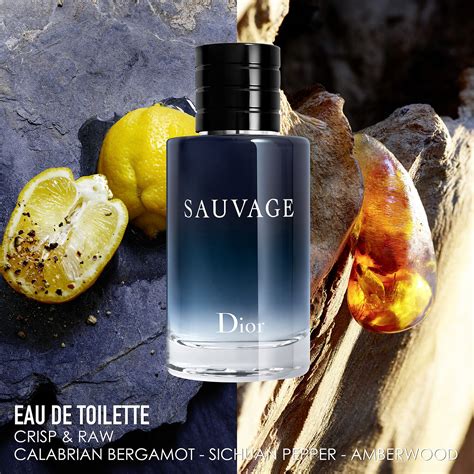 sauvage dior heren eau de toilette|sauvage dior 2015.